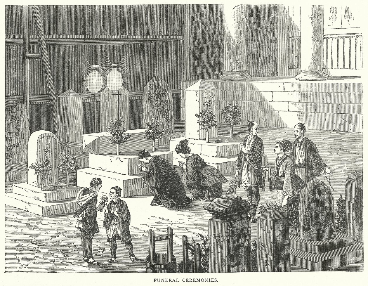  द्वारा अंग्रेजी स्कूल