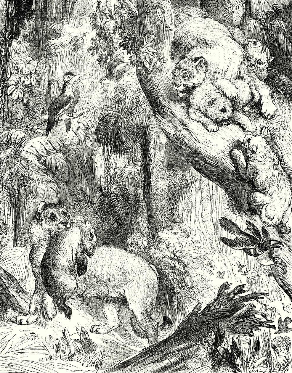  द्वारा अंग्रेजी स्कूल