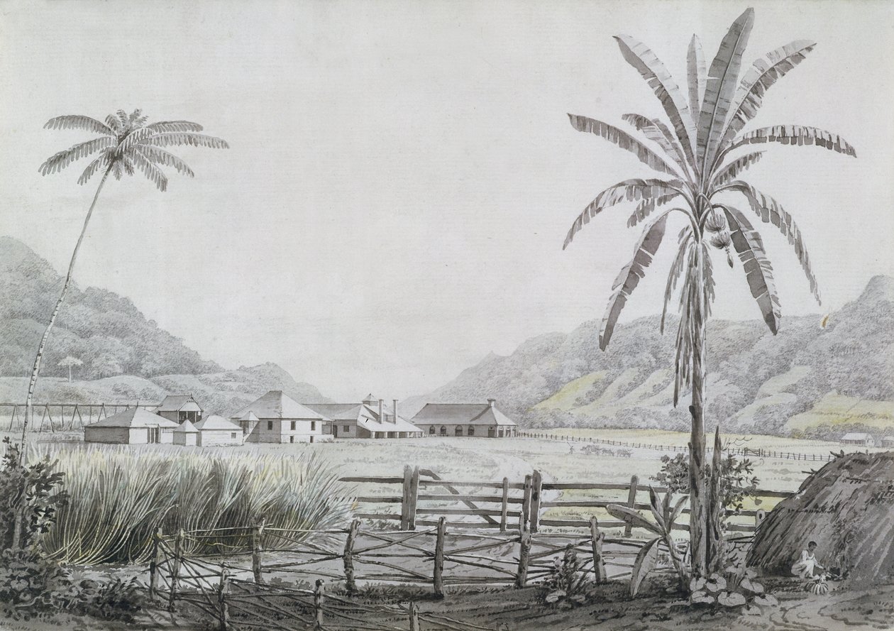 हेल्स हॉल, जमैका, c.1780 (wc और ग्रेफाइट पेपर पर) द्वारा अंग्रेजी स्कूल