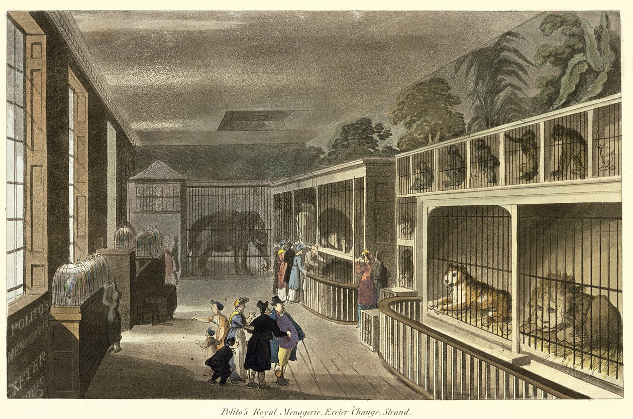 Politos Royal Menagerie, Exeter Change, Strand, 1812 (एक्वाटिंट) का आंतरिक दृश्य द्वारा अंग्रेजी स्कूल