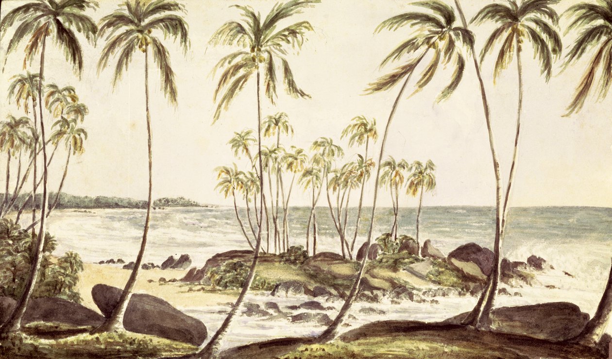 कोसगोड़ा बीच, सीलोन, c.1835 (कागज पर wc) द्वारा अंग्रेजी स्कूल