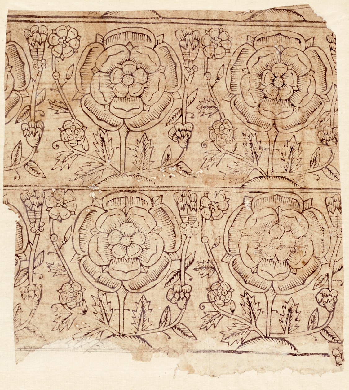 ट्यूडर रोज़ पैटर्न के साथ लाइनिंग पेपर, c.1550 (वुडब्लॉक प्रिंट) द्वारा अंग्रेजी स्कूल