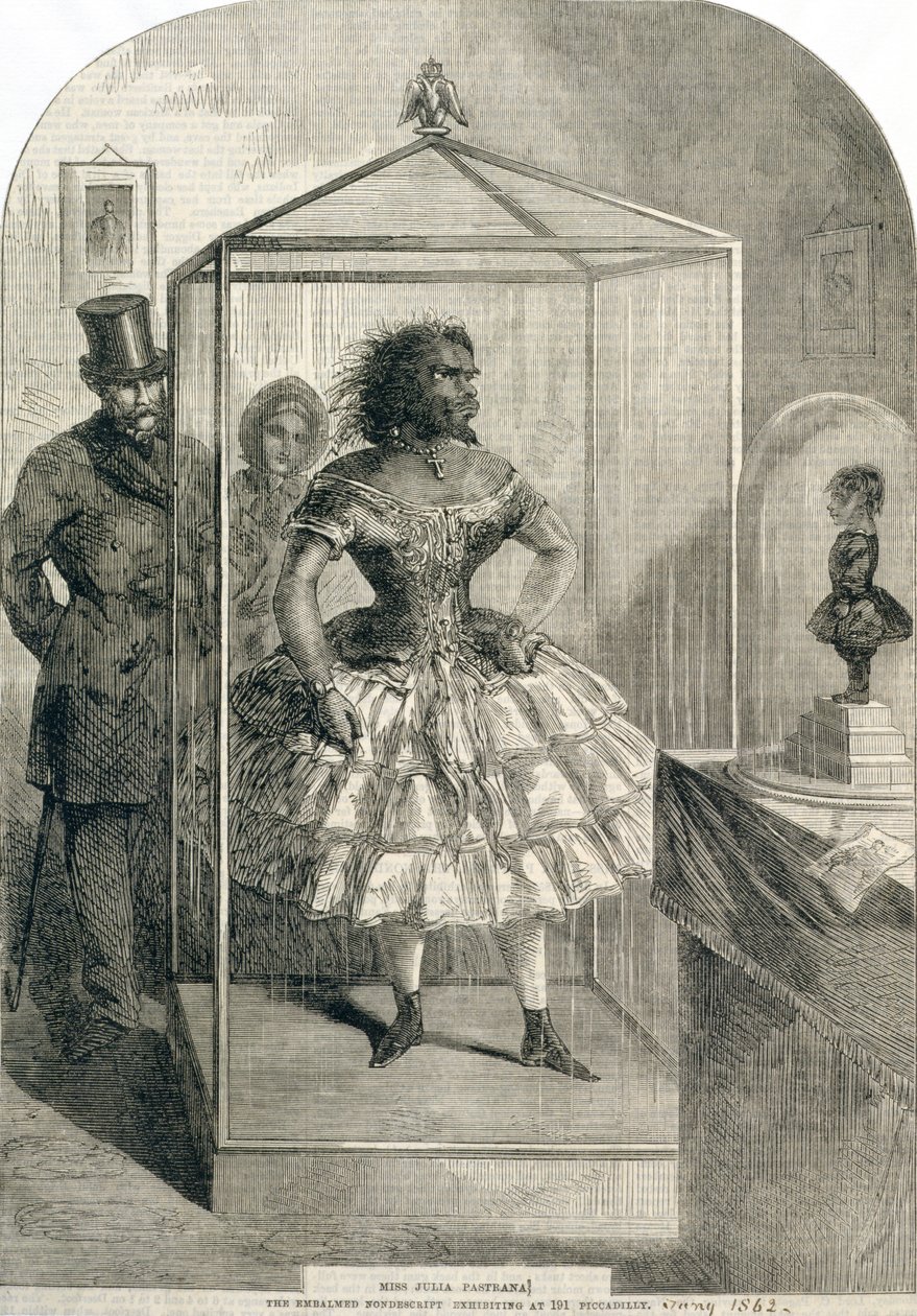 मिस जूलिया पास्ट्राना, द एम्बाल्ड नॉनडेस्क्रिप्ट, 191 पिकाडिली, 1862 में प्रदर्शित द्वारा अंग्रेजी स्कूल