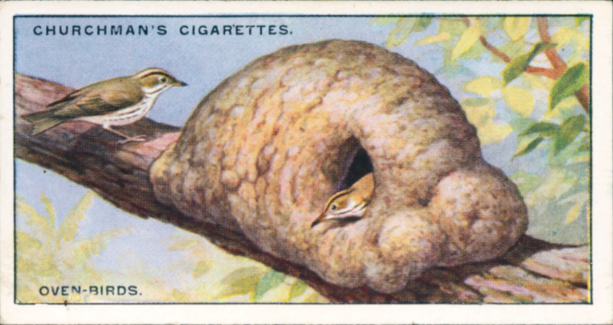  द्वारा अंग्रेजी स्कूल