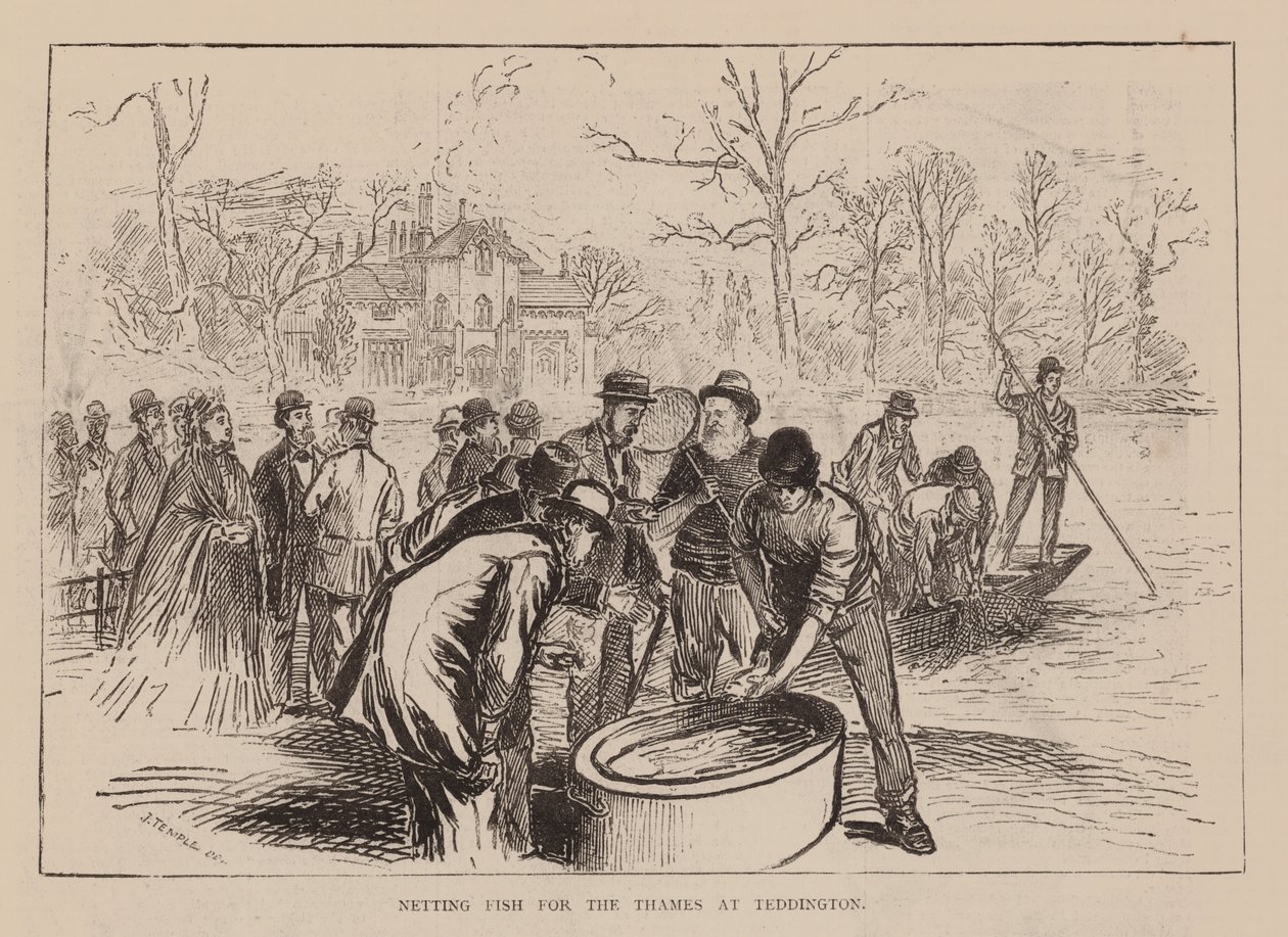  द्वारा अंग्रेजी स्कूल