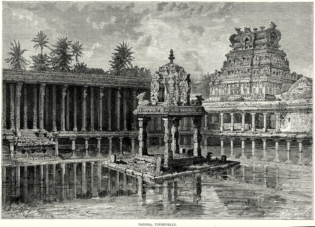  द्वारा अंग्रेजी स्कूल