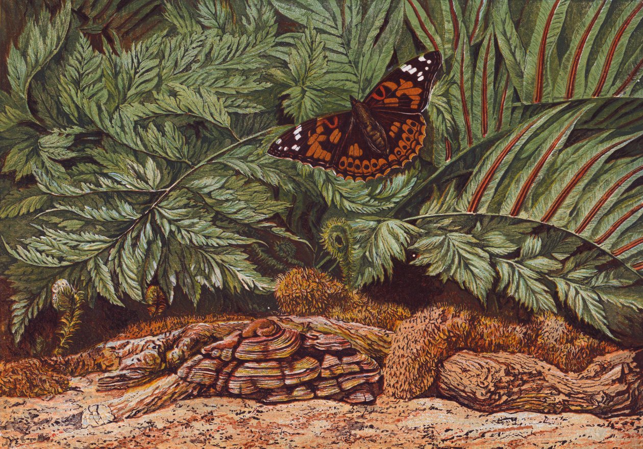  द्वारा अंग्रेजी स्कूल