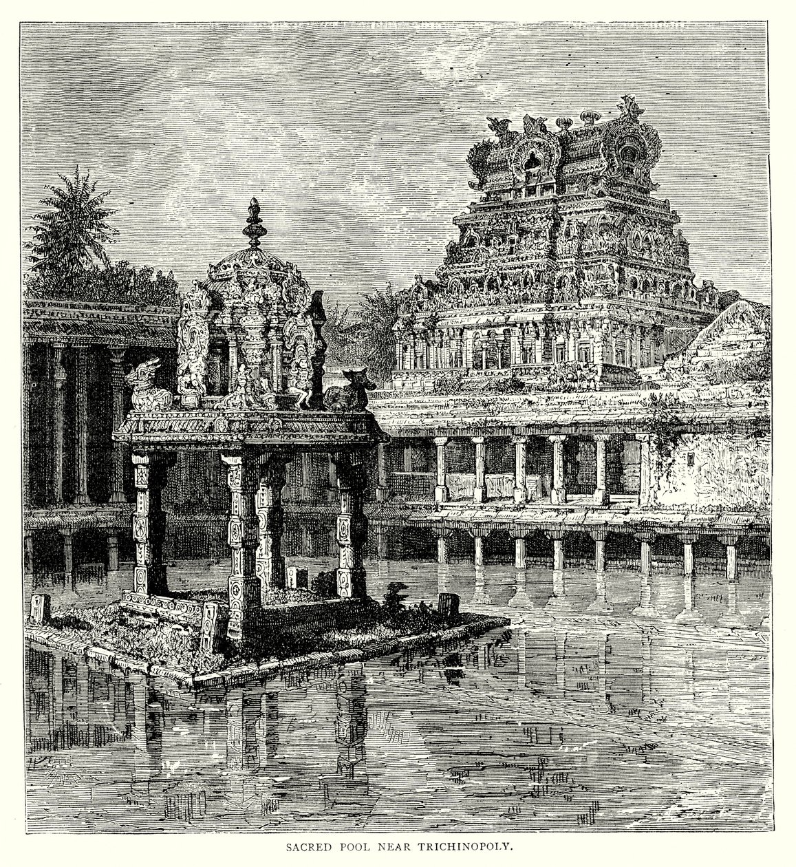  द्वारा अंग्रेजी स्कूल