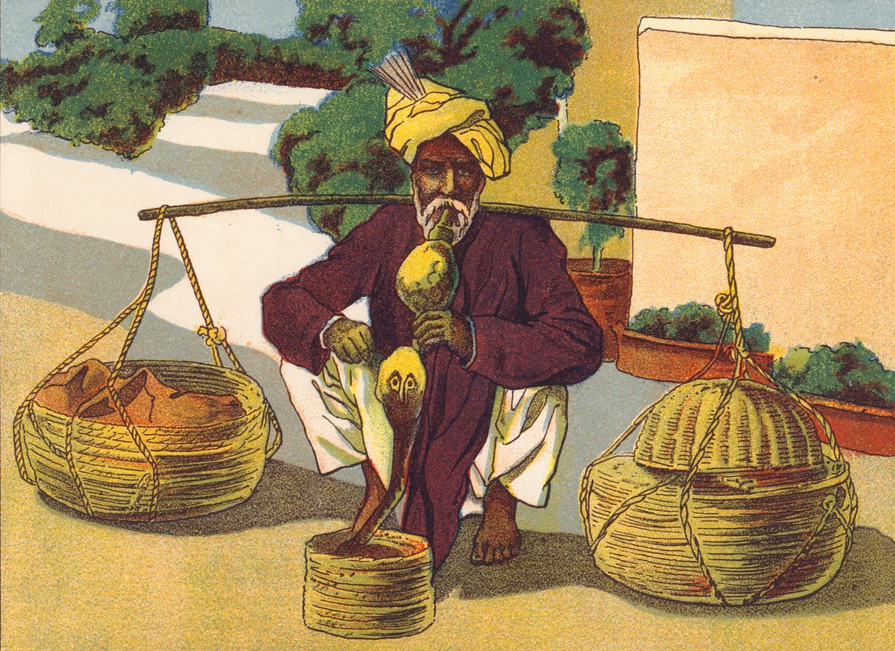  द्वारा अंग्रेजी स्कूल