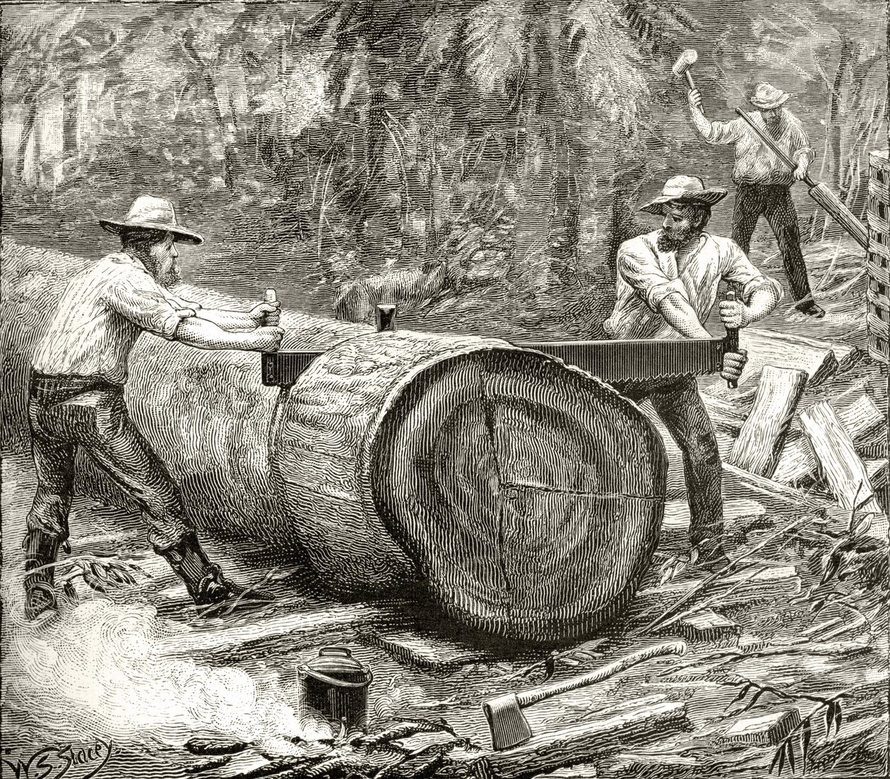 बुश, स्प्लिट्स, c.1880, हावर्ड विलोबी द्वारा &39;ऑस्ट्रेलियन पिक्चर्स&39; से, धार्मिक ट्रैक्ट सोसायटी, लंदन, 1886 द्वारा प्रकाशित द्वारा अंग्रेजी स्कूल