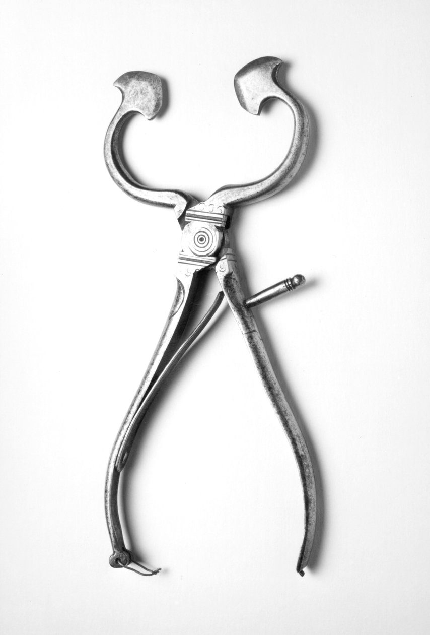 चीनी के nippers, c.1800 (स्टील) द्वारा अंग्रेजी स्कूल