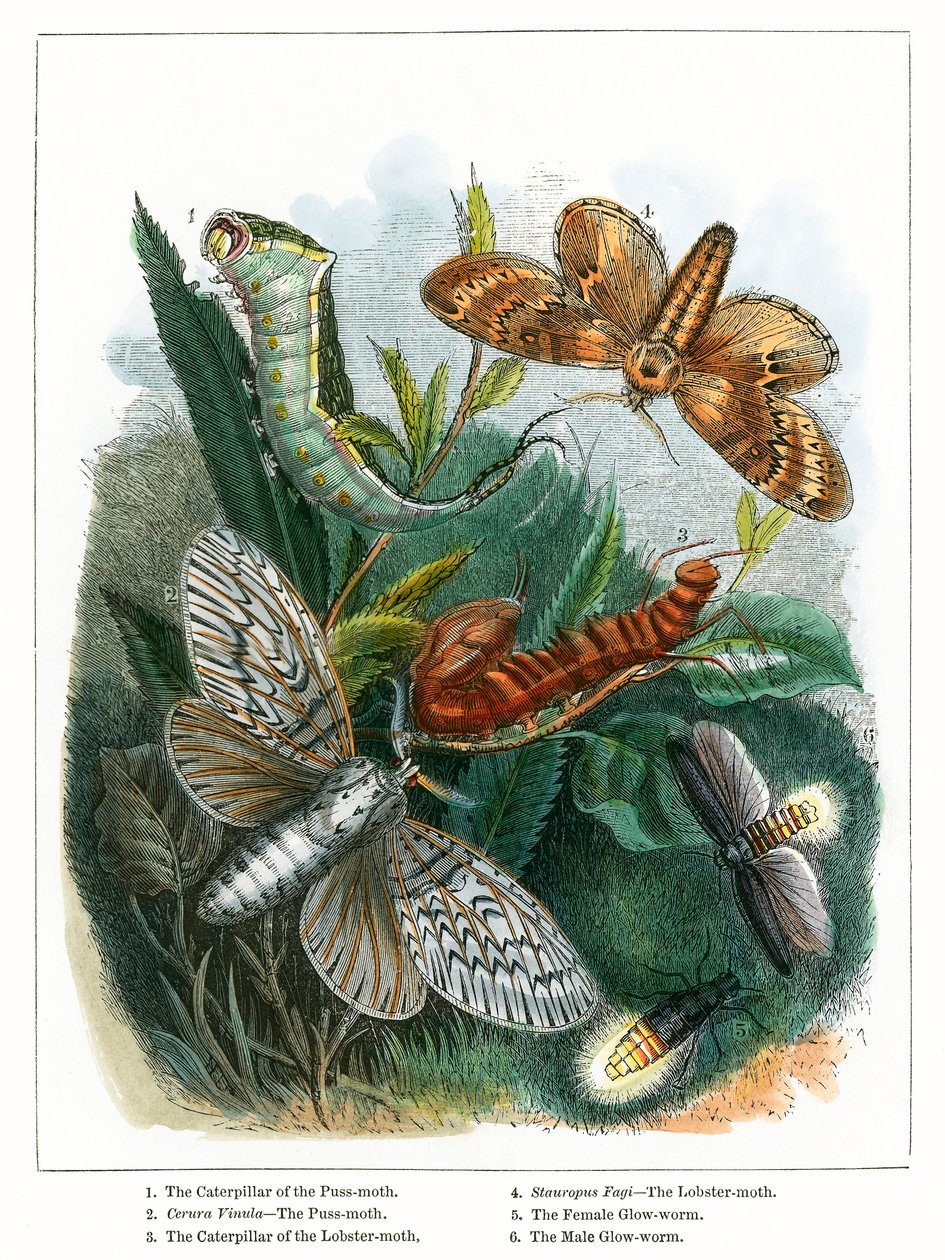  द्वारा अंग्रेजी स्कूल