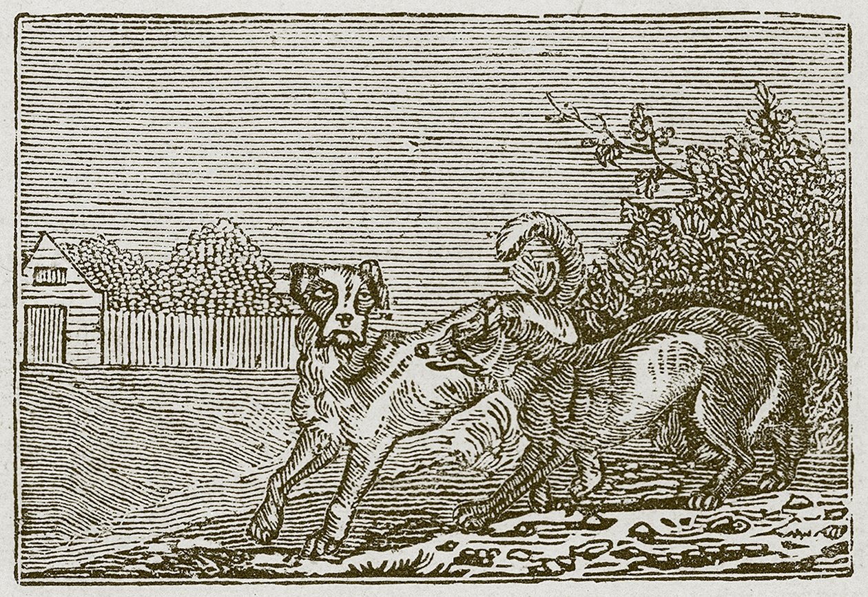  द्वारा अंग्रेजी स्कूल