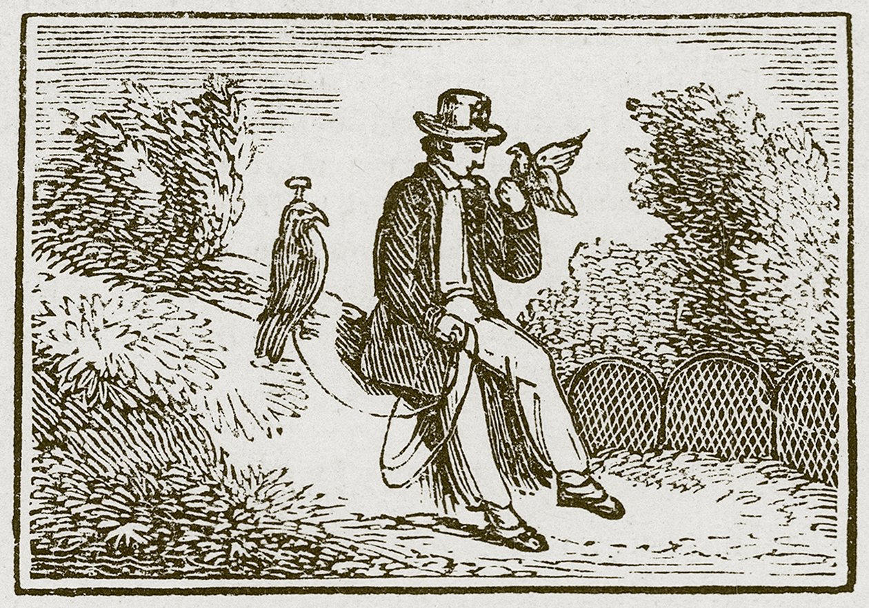  द्वारा अंग्रेजी स्कूल