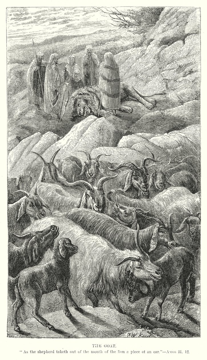  द्वारा अंग्रेजी स्कूल