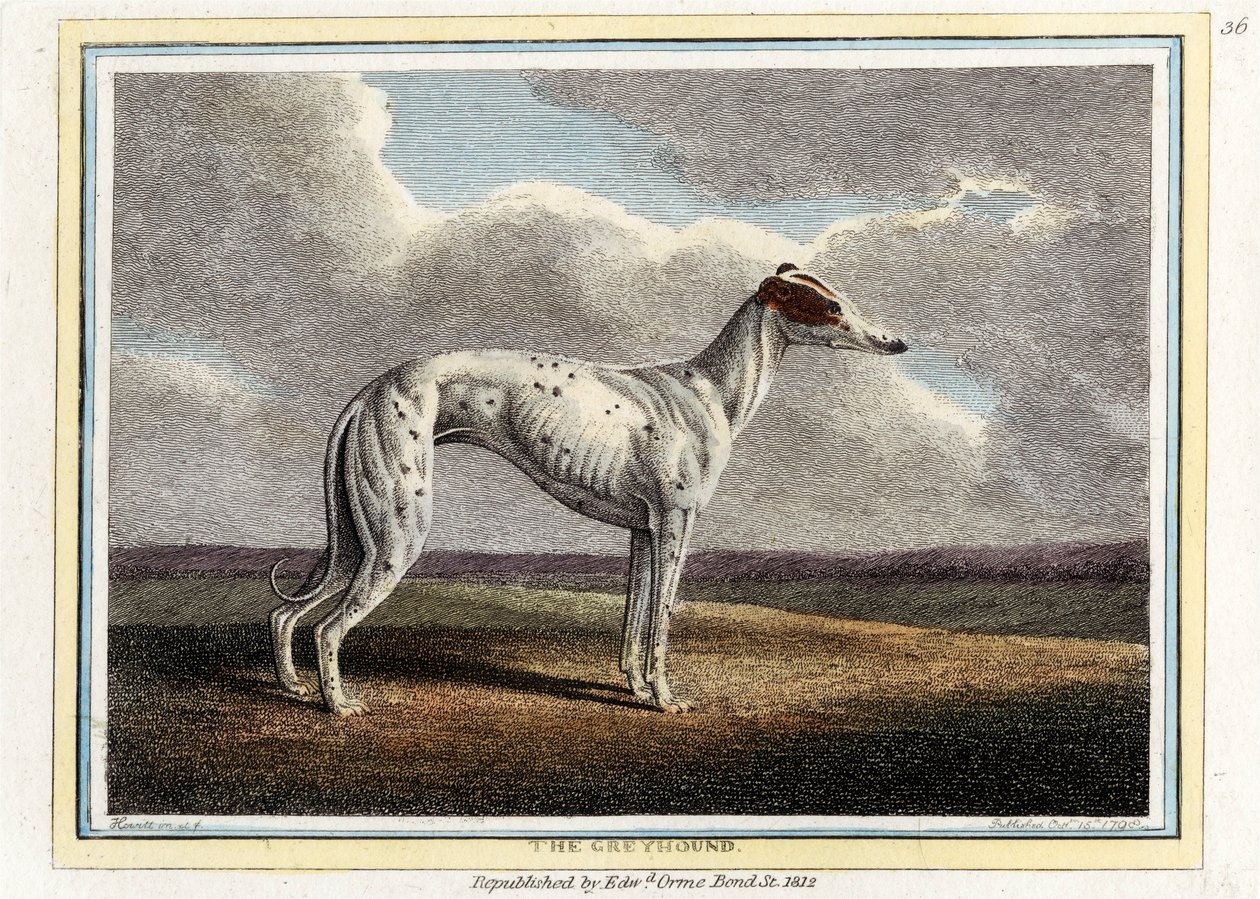 ग्रेहाउंड, पब। 1812. द्वारा अंग्रेजी स्कूल