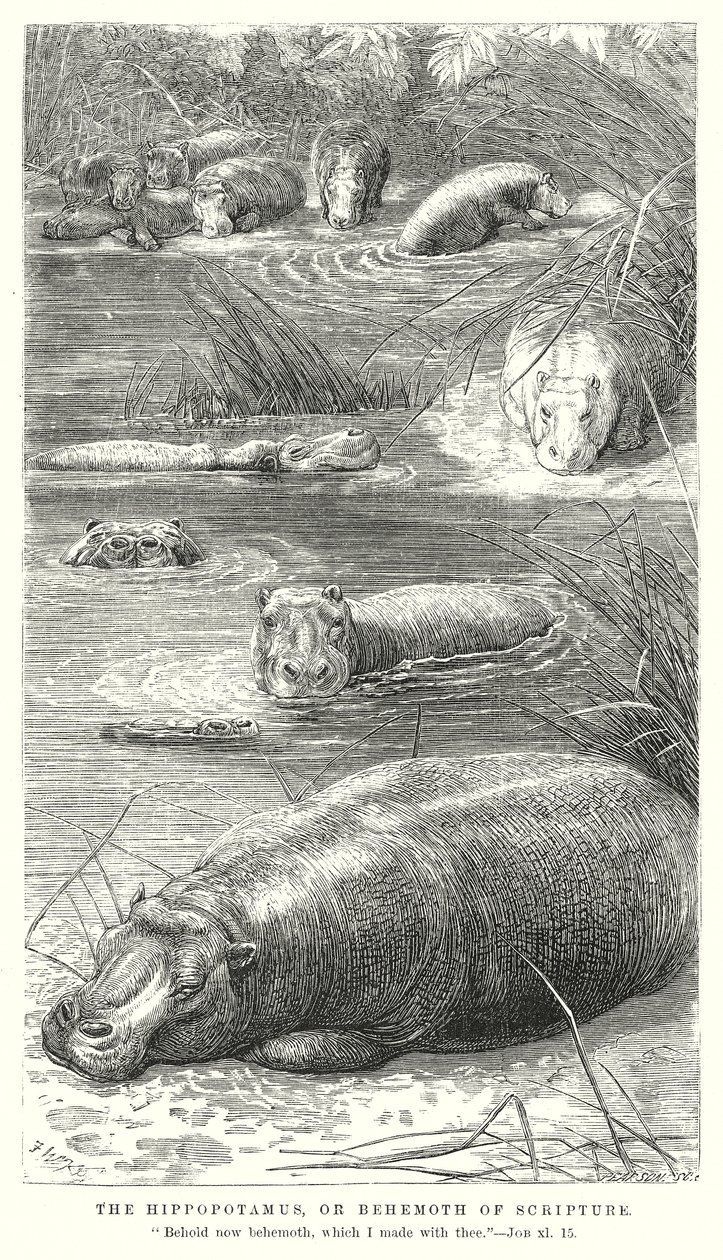  द्वारा अंग्रेजी स्कूल