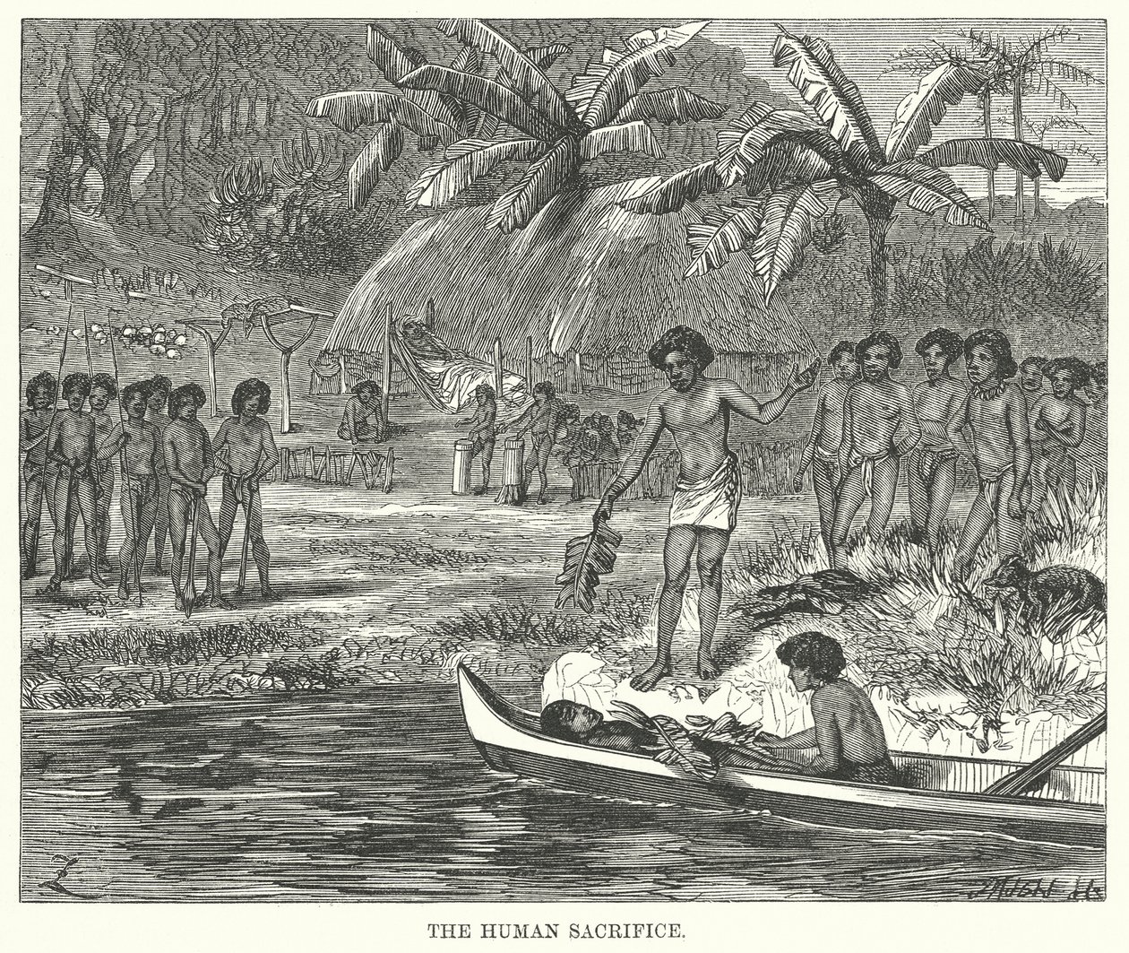  द्वारा अंग्रेजी स्कूल