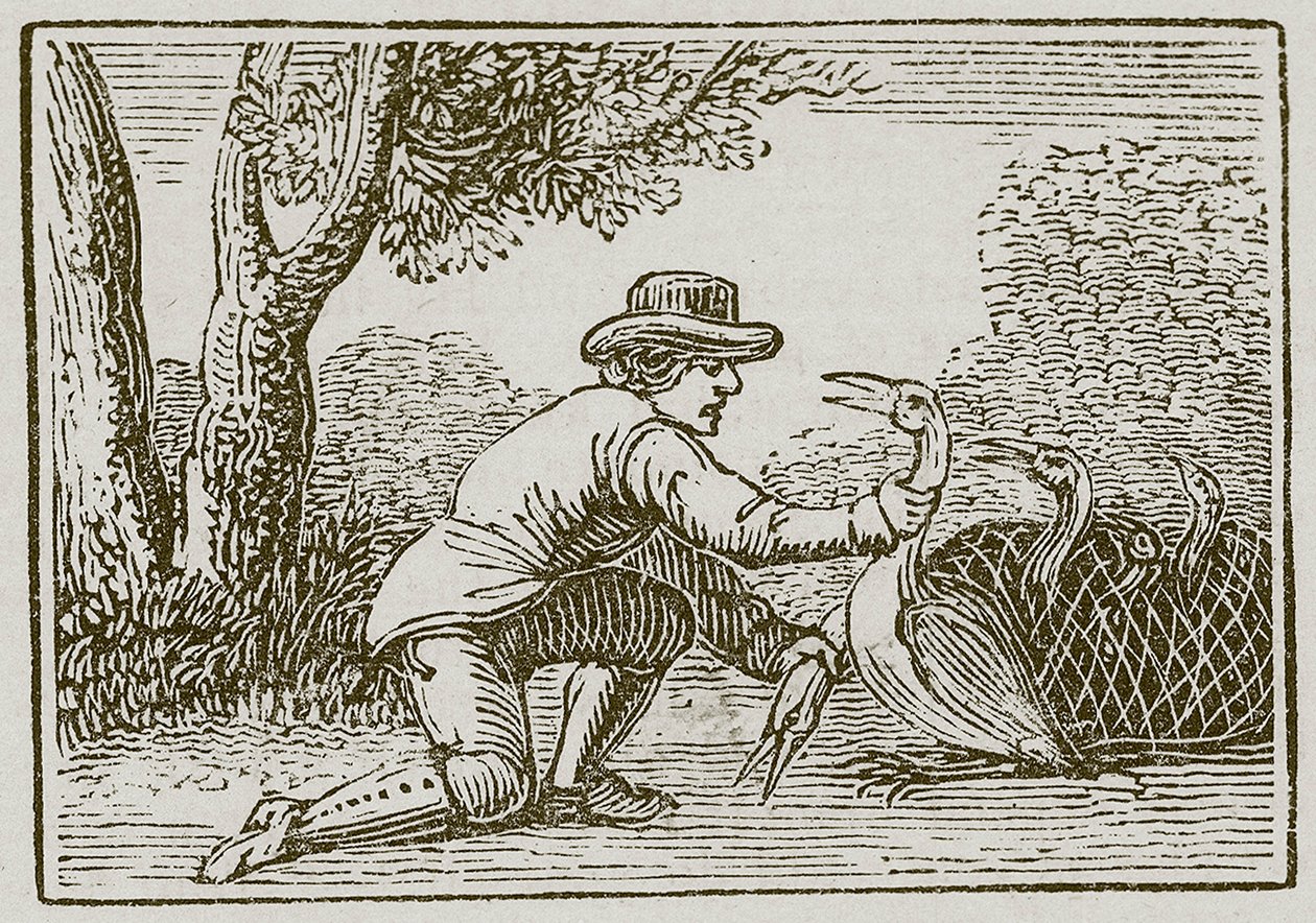  द्वारा अंग्रेजी स्कूल