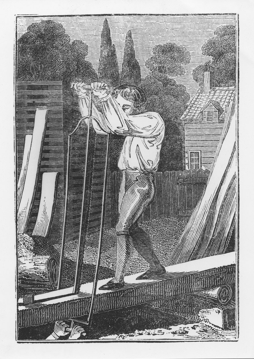 द सॉयर, द यंग ट्रेड्समैन या बुक ऑफ़ इंग्लिश ट्रेड्स से, 1839 द्वारा अंग्रेजी स्कूल