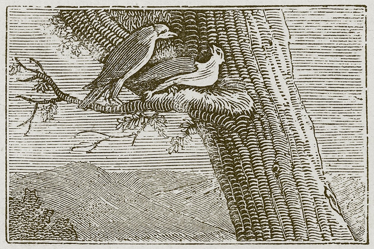  द्वारा अंग्रेजी स्कूल