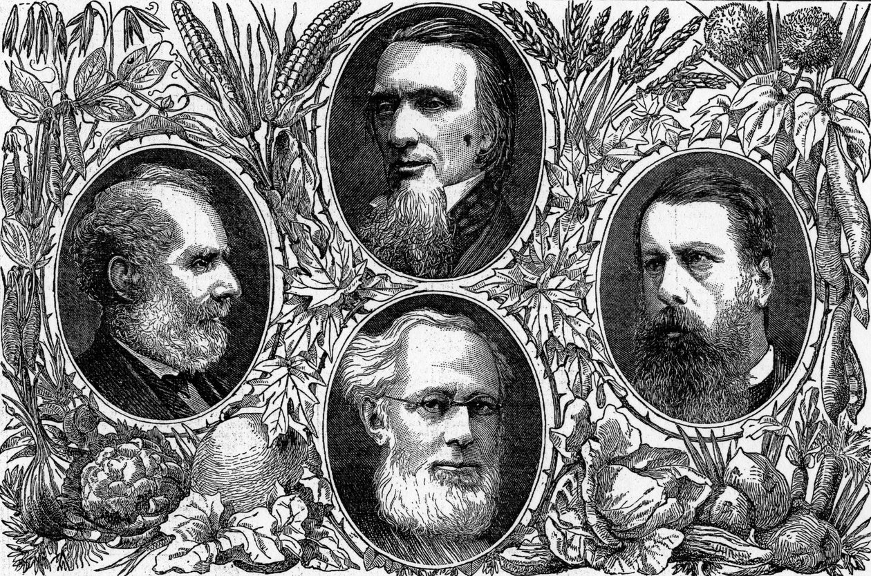 द शाकाहारी सिस्टम - द ग्राफिक, 1874 में प्रकाशित वेजीटेरियन सोसाइटी के कुछ प्रमुख सदस्य द्वारा अंग्रेजी स्कूल
