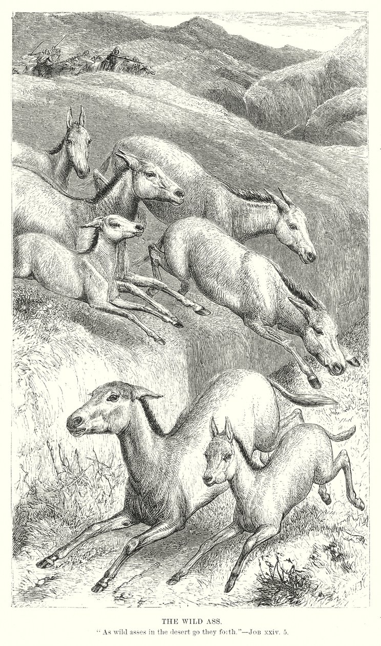  द्वारा अंग्रेजी स्कूल