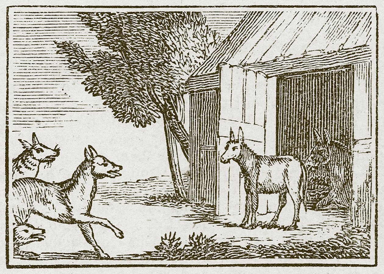  द्वारा अंग्रेजी स्कूल