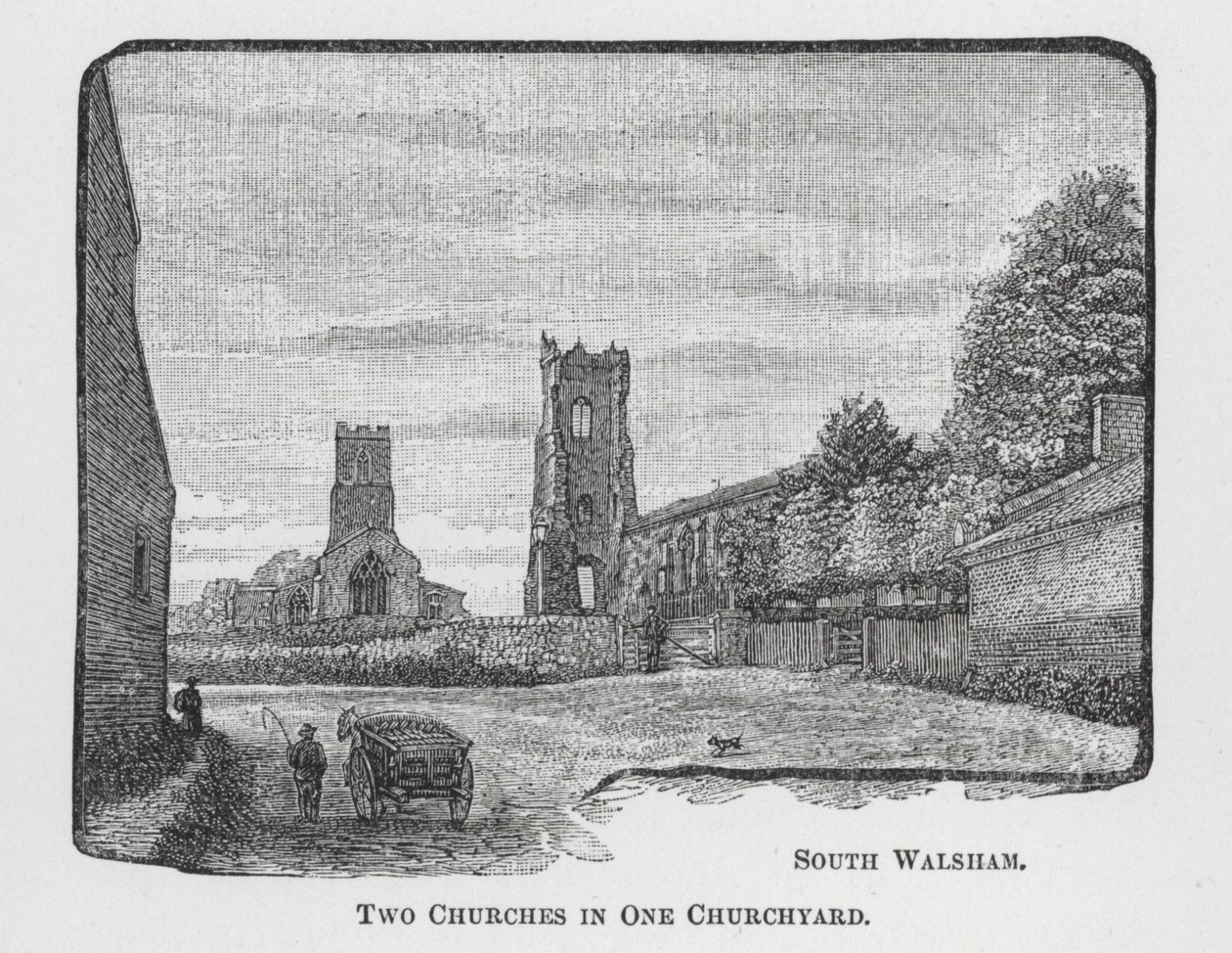  द्वारा अंग्रेजी स्कूल