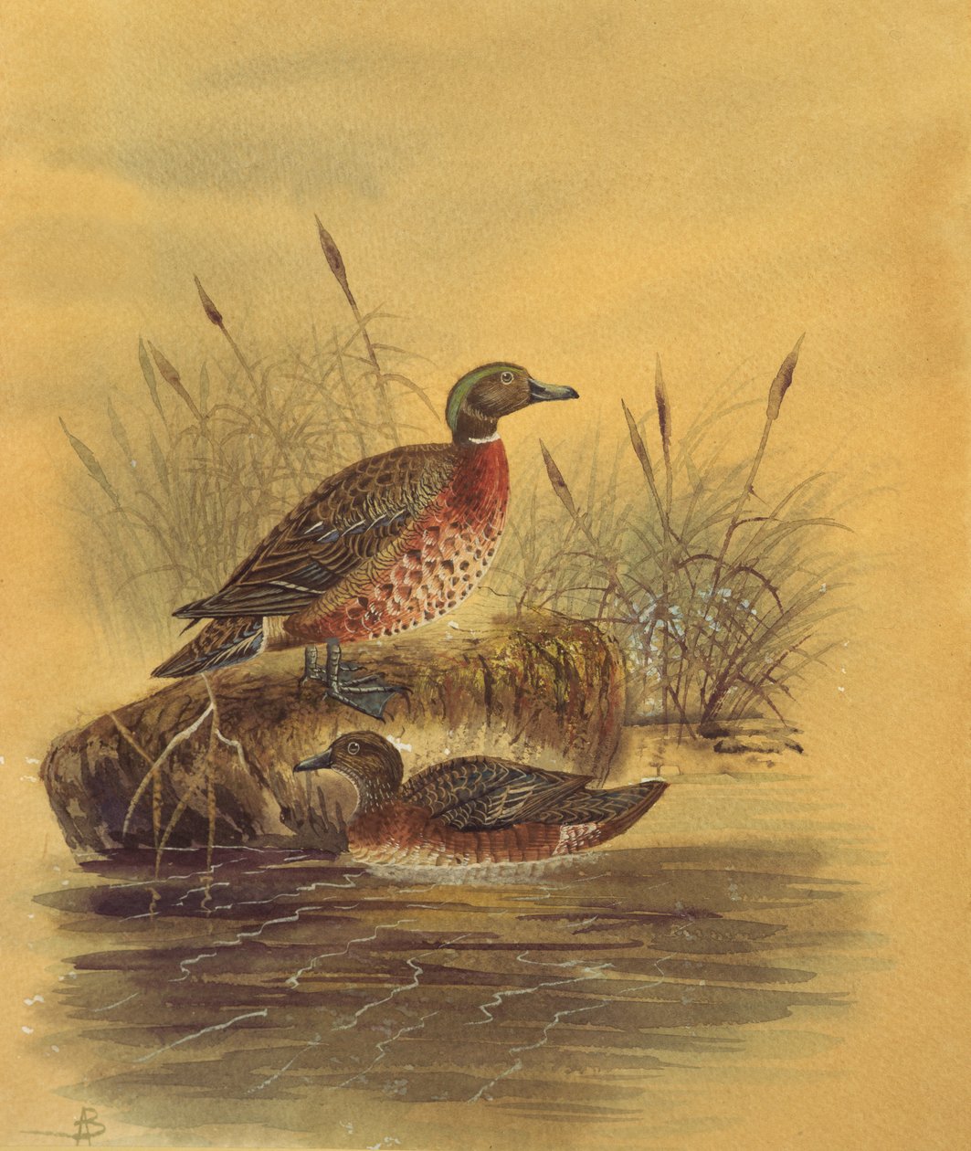 रीड बैंक द्वारा दो बतख, c.1890 (कागज पर wc) द्वारा अंग्रेजी स्कूल
