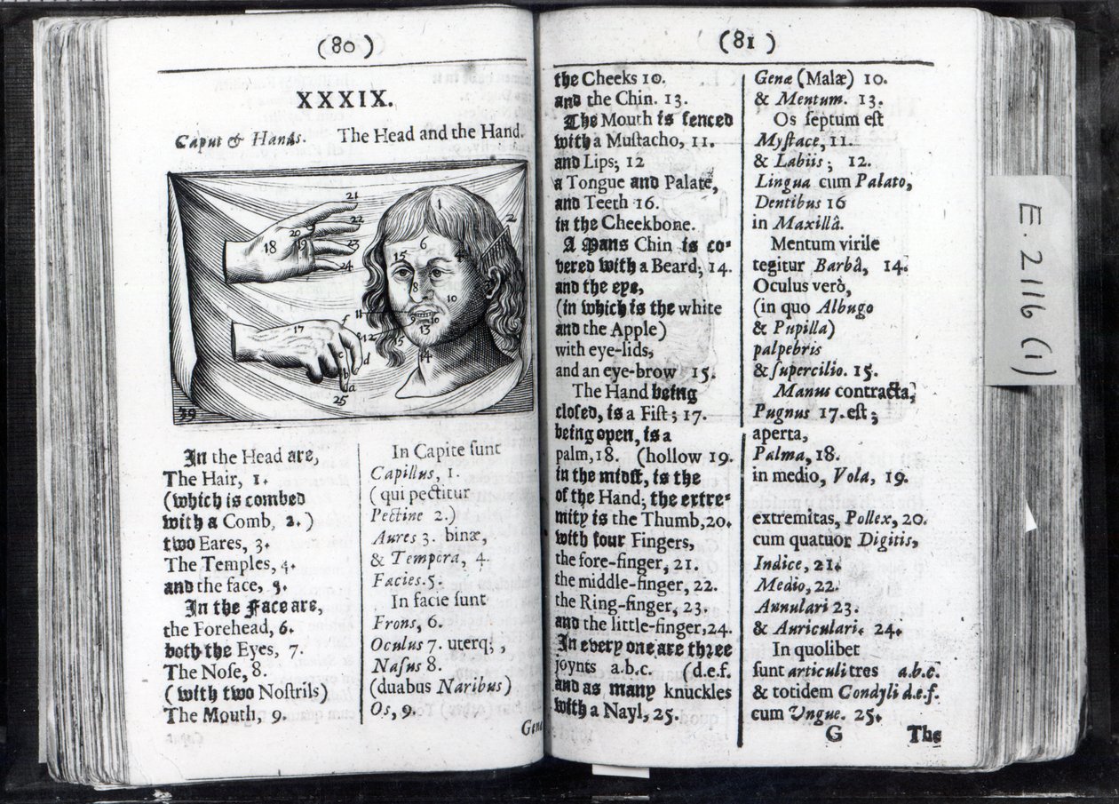 विश्व Sensualium pictus Comenius, 1659 से दो पृष्ठों द्वारा अंग्रेजी स्कूल
