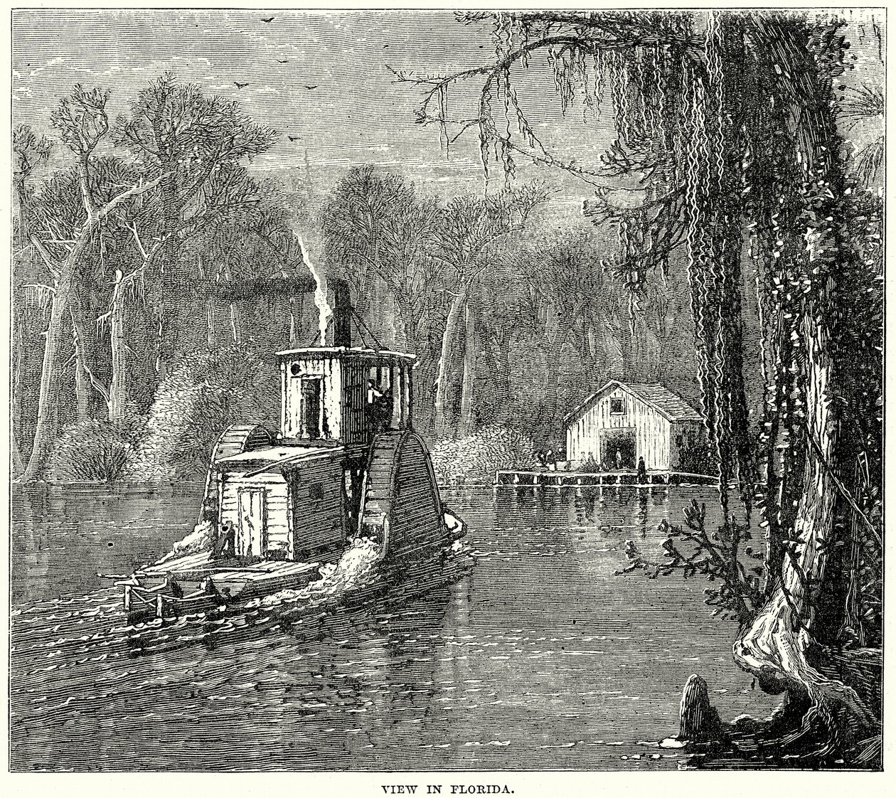  द्वारा अंग्रेजी स्कूल