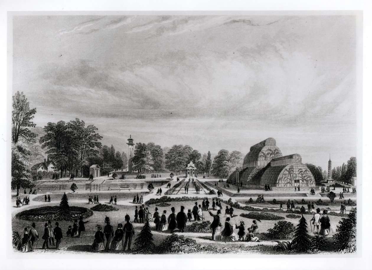 केव पैलेस में पाम हाउस देखने वाले पर्यटक, c.1860s द्वारा अंग्रेजी स्कूल