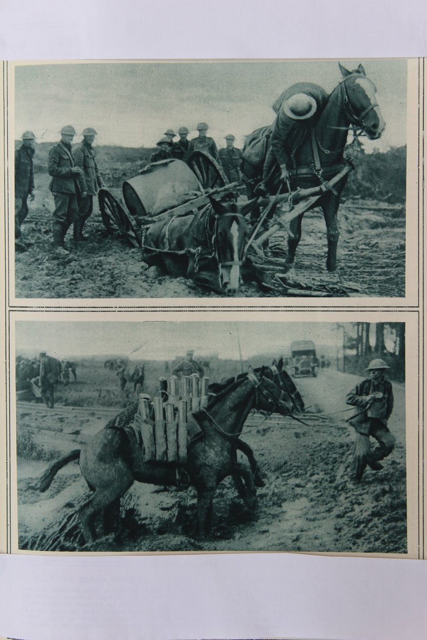 युद्ध के घोड़े कीचड़ में डूबते हैं, उत्तरी फ्रांस, अगस्त 1917 द्वारा अंग्रेजी स्कूल