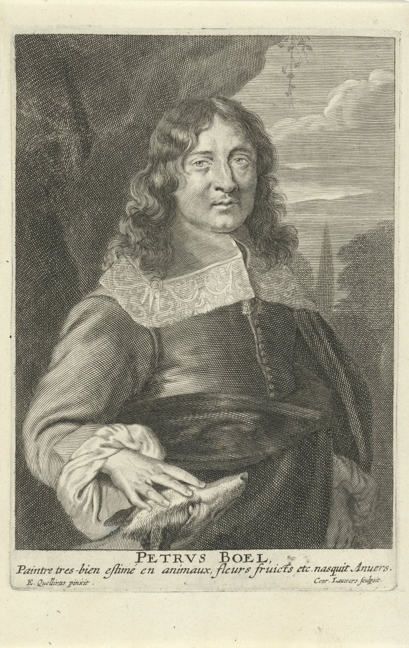 पीटर बोएल, कॉनरैड लाउवर्स द्वारा उत्कीर्ण, c.1649-62 (उत्कीर्णन) द्वारा इरास्मस (बाद) क्वेलिनस
