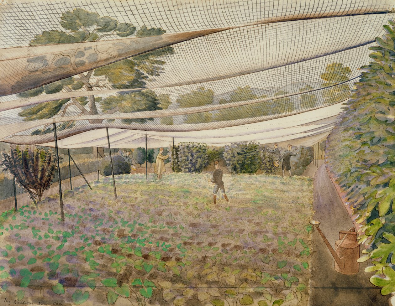 स्ट्रॉबेरी नेट द्वारा एरिक Ravilious