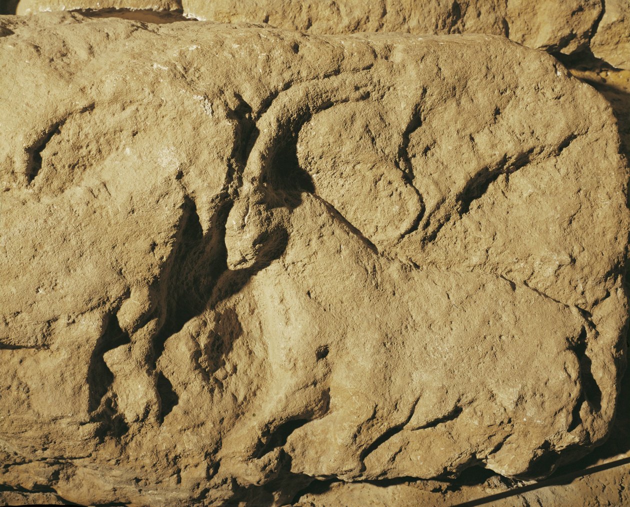  द्वारा एरिच लेसिंग