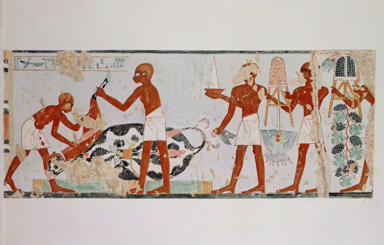  द्वारा एरिच लेसिंग