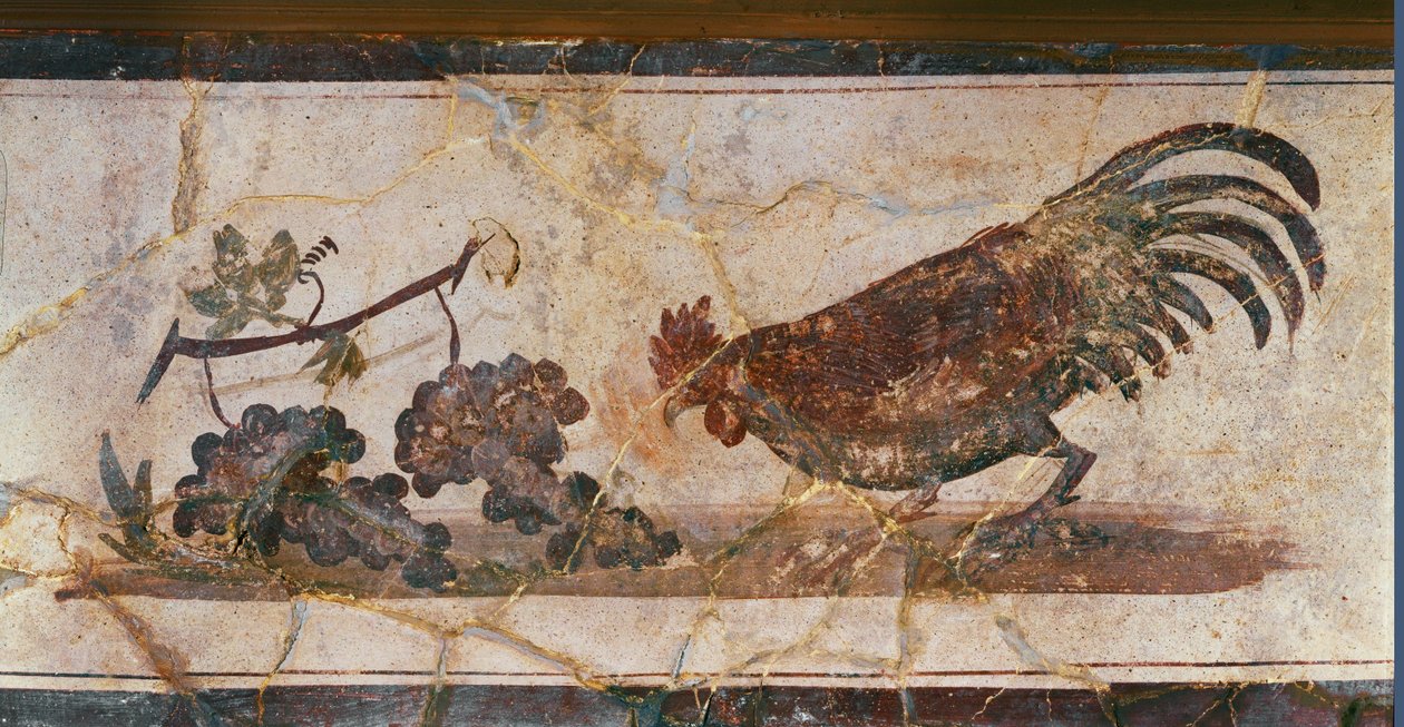  द्वारा एरिच लेसिंग