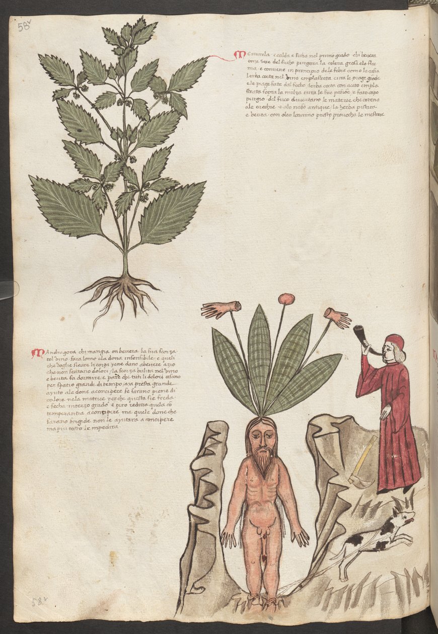  द्वारा एरिच लेसिंग