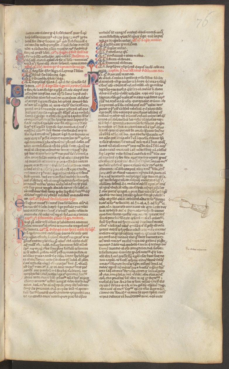  द्वारा एरिच लेसिंग