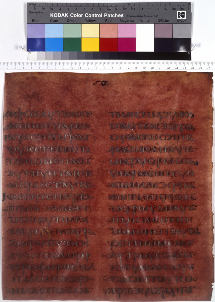  द्वारा एरिच लेसिंग