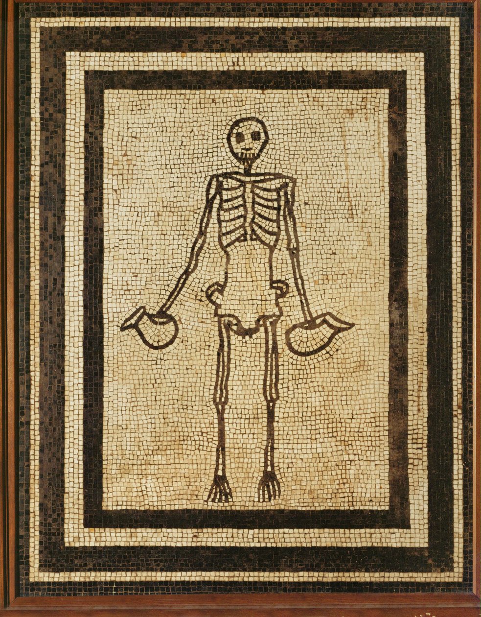  द्वारा एरिच लेसिंग