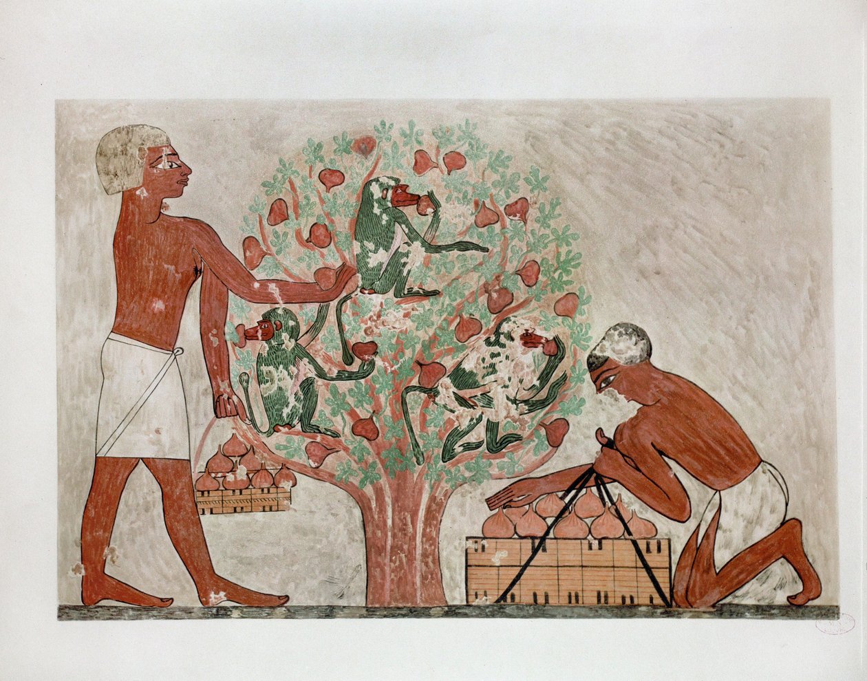  द्वारा एरिच लेसिंग