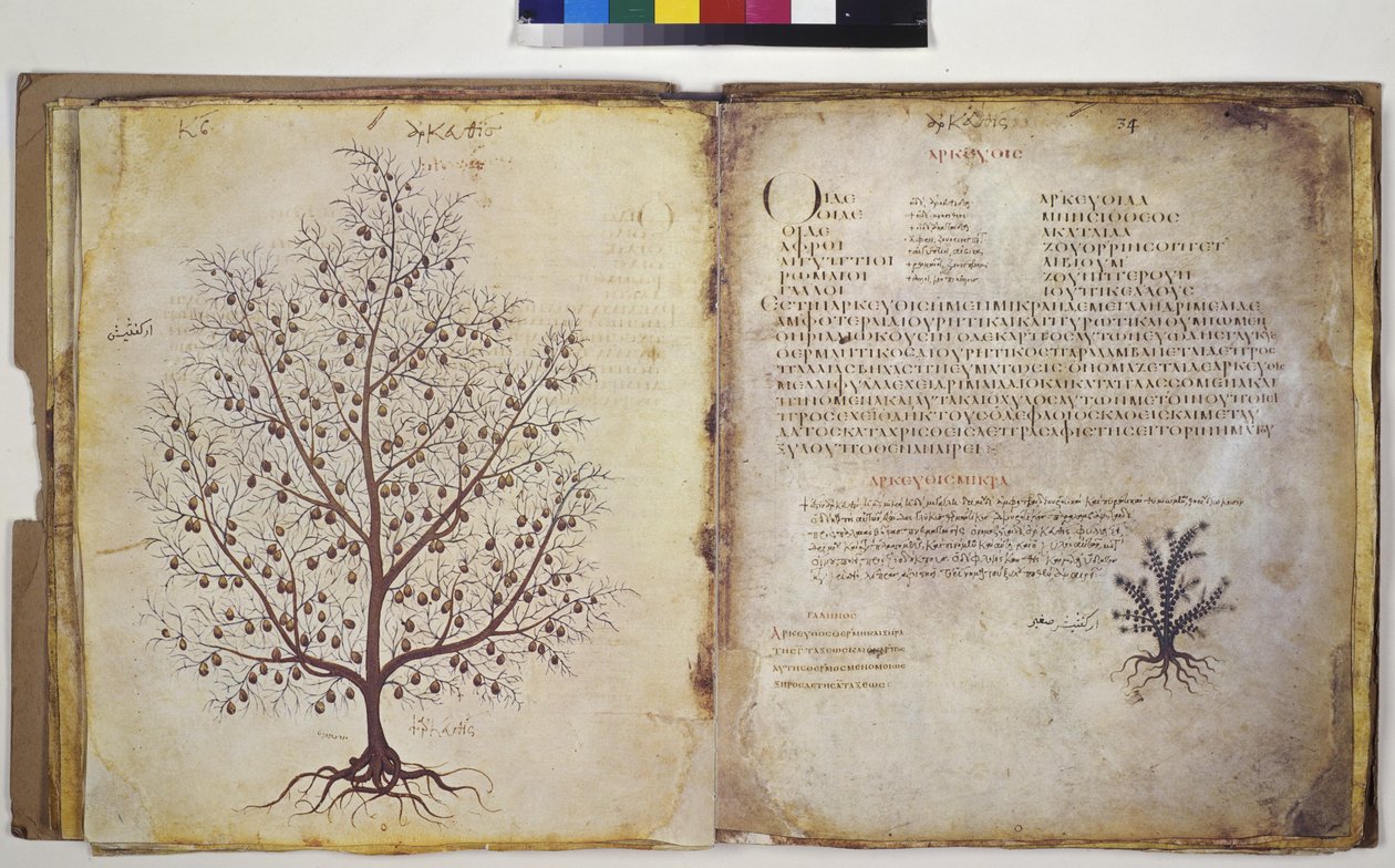  द्वारा एरिच लेसिंग