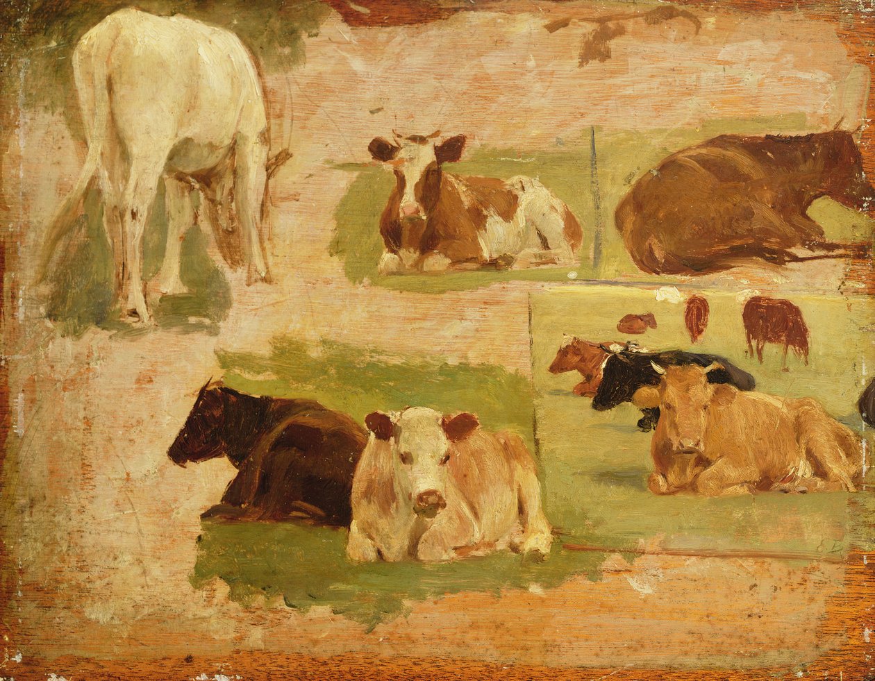 गायों का अध्ययन, c.1860 द्वारा यूजीन लुई बौडिन