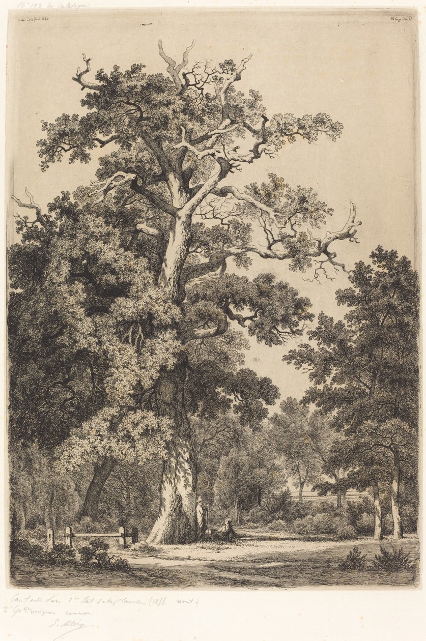 Bois de Boulogne, 1855 में प्राचीन ओक। द्वारा यूजीन ब्लेरी