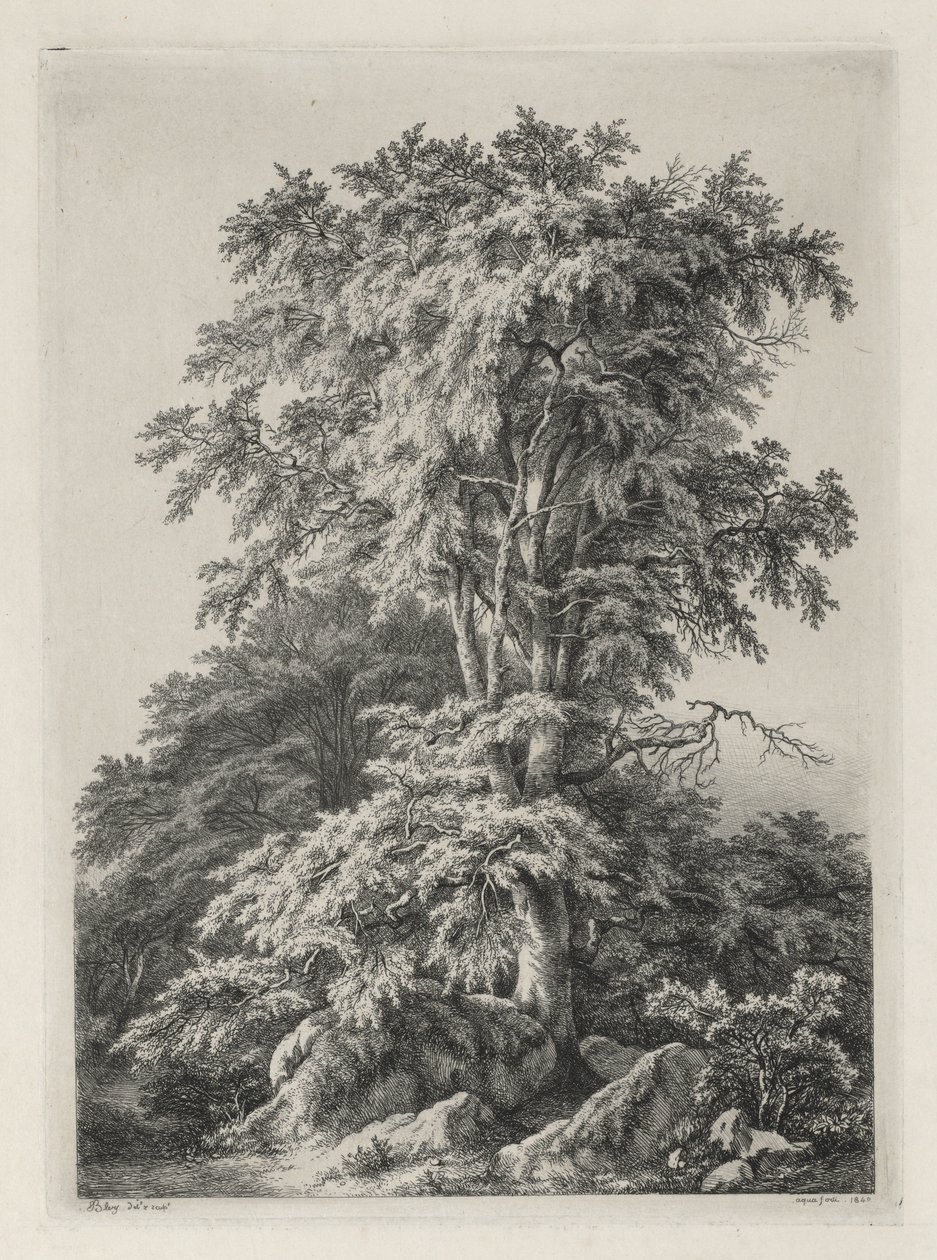 नेचर एंड द नेचर: द बीच, फॉनटेनब्लेउ ..., 1840। द्वारा यूजीन ब्लेरी