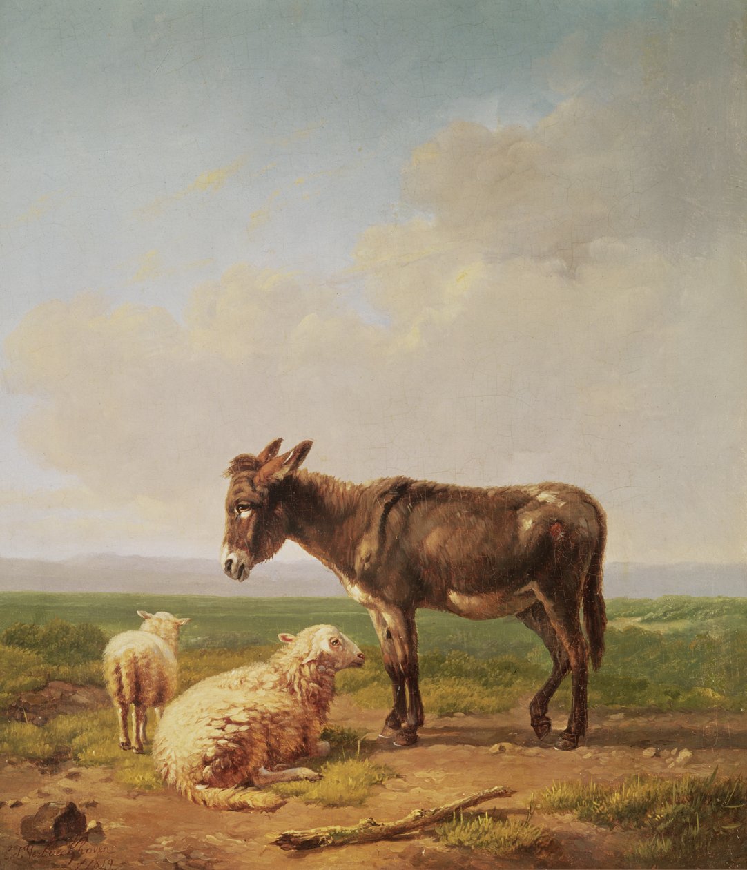 गधा और भेड़, 1849 (तेल) द्वारा यूजीन जोसेफ वेर्बोकेवन