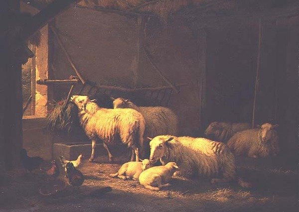 एक खलिहान में भेड़ और मुर्गी द्वारा यूजीन जोसेफ वेर्बोकेवन